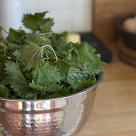 Do tradiční velikonoční nádivky patří mladé kopřivy