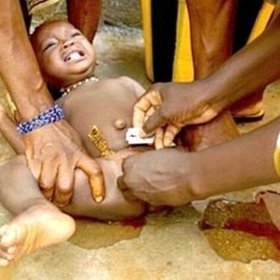 Kus skla a saharská Afrika