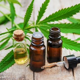 Na trhu jsou k dispozici různé druhy konopných olejů pro vnitřní i vnější užití. Ať už jej plánujete využít jakkoli, vybírejte raději z těch, které kromě vylisovaných konopných semen obsahují také extrakt z celé zelené rostliny.