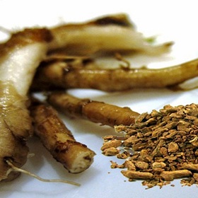 Pampeliškový čaj z kořene ovlivňuje nádorové buňky