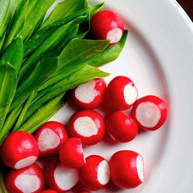 Ředkvičky a medvědí česnek k jaru neodmyslitelně patří.