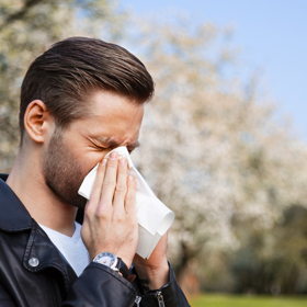 Alergie v současné době trápí téměř tři miliony lidí. Důležitou součástí léčby jsou nejenom vhodné léky, ale zmírnění příznaků lze potlačit i s pomocí následujících tipů.  