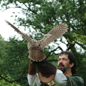 Shlédnout zde můžete také historické sokolnické ukázky s dravými ptáky