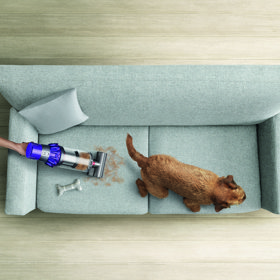 Vysávání po domácích mazlíčcích je každodenní povinností 