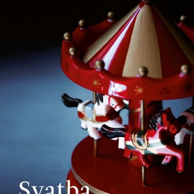 Svatba ve městě Chambéry