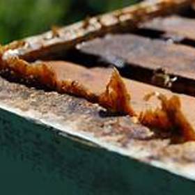 Propolis je velmi vzácný