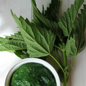 Z mladých kopřiv si klidně udělejte třeba i špenát.