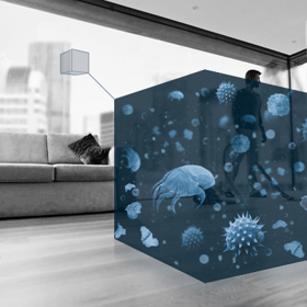 Důkladně vysávejte, dokonce se doporučuje při výskytu největšího množství alergenů neotvírat okna. Z bytu odstraňte vše, v čem by se mohly alergeny usazovat. Tedy především textilie a koberce. 