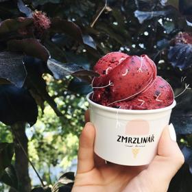 Zmrzlinář - kromě klasických druhů tvoří druhou polovinu nabídky sorbety, jež jsou vhodné jak pro vegany, tak pro všechny s intolerancí na laktózu či lepek