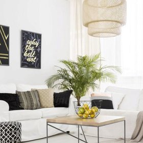 Inspirativní trendy bydlení