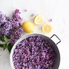 Před přidáním do hrnce je ale třeba jednotlivé kvítky otrhat.