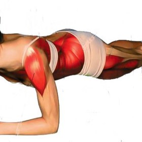 Takhle by měl vypadat správný plank