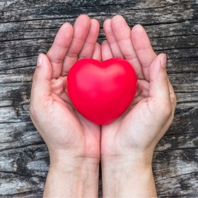 Pokud se rozhodnete pro darování krve, můžete pomoci zachránit až 4 lidské životy  a máte jistotu, že tento „dar“ se opravdu využije. 