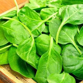 Špenát obsahuje více než 90 % vody, jeho energetická hodnota je tedy (jako u většiny druhů zeleniny) velice nízká. Ve špenátu se nacházejí bílkoviny, lipidy, sacharidy, nerozpustná i rozpustná vláknina.