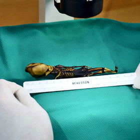 Kostra měřila pouhých 16 centimetrů.