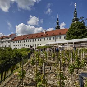 Vinice pod Strahovským klášterem