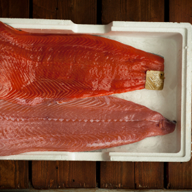 Divoký losos je sytě červený.