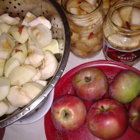 Suroviny:  3 jablka, 2 dcl vody, 1 vanilkový cukr, celá skořice, hřebíček.