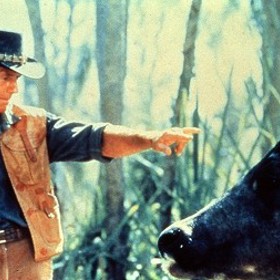 Krokodýl Dundee v Los Angeles je australsko-americká filmová komedie z roku 2001. Režisérem filmu je Simon Wincer. Hlavní role ve filmu ztvárnili Paul Hogan, Linda Kozlowski, Jere Burns, Jonathan Banks a Alec Wilson. Paul Hogan řekl, že inspiraci k zápletce dostal během prohlídky Litomyšle roku 1993.