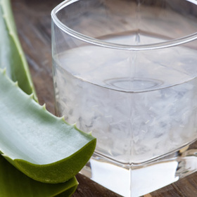 Povzbuzující sirup:

Budete potřebovat: 100 g gelu z listu aloe vera, 100 g cukru

Postup: Gel z aloe rozmixujte, přidejte cukr a povařte asi deset minut na mírném plamenu. Občas sirup promíchejte. Poté ho přelejte do sklenic a uložte je do chladu.

Do sklenice vody přidejte přibližně půlku čajové lžičky sirupu a tento povzbuzující nápoj popíjejte po ránu.