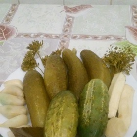 Křenové pikantní okurky:

Suroviny:

2,1  kg okurek,
4  ks bobkových listů, malých,
1  lžičky hořčičného semínka,
4  ks nového koření,
4  ks mrkve, malé,
1  ks cibule,
8  ks křenů (asi 5 cm dlouhých),
kopr.

Nálev:

570  ml vody,
160  ml octa,
55  g cukru,
10  g sůli.

Postup:

Na dno čtyř sklenic rozdělíme koření a bobkové listy s koprem a skládáme okurky, přičemž je prokládáme s kolečky mrkve, cibule a na špalíčky nakrájeným křenem.

Na nálev svaříme vodu s octem, cukrem a solí. Necháme prochladnout, zalijeme okurky, uzavřeme a sterilujeme 10 min. od začátku varu. Po sterilizaci okurky ihned vyjmeme z hrnce a necháme vychladnout.
