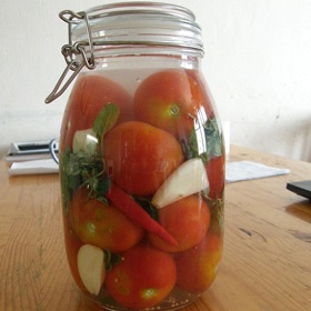 Máte chuť na kvašená rajčata? Pak umytá rajčata nakrojte na několika místech a vložte do keramické mísy. Přidejte pár kuliček černého pepře, křen, česnek a kopr. Dále si připravte nálev z vody, soli, hořčice, cibule a estragonu. Nálevem zalijte rajčata a mísu utěsněte. Po třech dnech budou rajčata připravena k jídlu. Jsou skvělou přílohou k masům, uzeninám i do salátů.