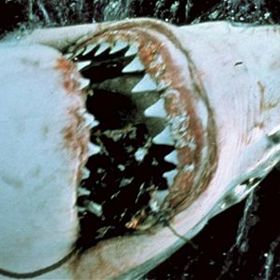 Rekreační město Amity každoročně navštíví mnoho nic netušících turistů a rekreantů.