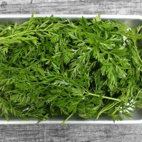 Mrkvová nať chutná skvěle rozmixovaná s jablečnou šťávou, navíc má spoustu vitamínů