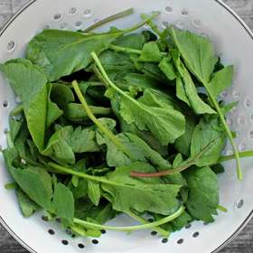 Už žádný odpad! Nyní můžete ze zeleninových listů uvařit dokonalé a zdravé jídlo