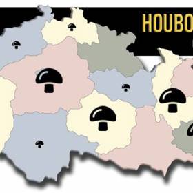 Kde rostou v Čechách houby?