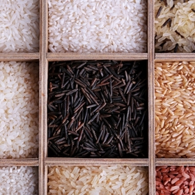 Rýže existuje velké množství druhů. Každá se hodí na něco jiného.