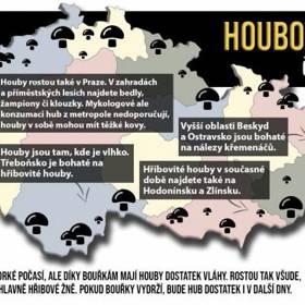 Houby rostou také v Praze, jde především o klouzky a žampiony, v okolí Třeboně jsou hodně hříbky.