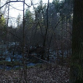 Jedna z legend o Branišovském lese vypráví, že se tu měli - prý na popud zlých sil - zastřelit čtyři vojáci. Tento příběh může mít reálný základ, ovšem zřejmě k němu došlo někde jinde a mrtví byli pouze dva. I to je ale nejisté...