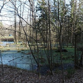 Branišovský les se rozkládá mezi českobudějovickým sídlištěm Máj, čtvrtí Zavadilka a obcemi Branišov. Je známý řadou tragických událostí, pověstí a příběhů popisujících paranormální jevy.