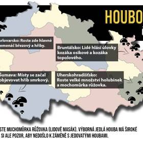 Karlovarsko je bohaté na křemenáče, Šumava se pyšní hříbky.