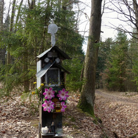 O Branišovském lese se vypráví i to, že se tu prý mělo zřítit UFO. Podle vyjádření českobudějovických hasičů došlo k opálení kůry kolem roku 2000, kdy v Boru hořel suchý podrost.