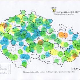 Tady rostly houby před pár lety, své štěstí můžete vyzkoušet i letos.