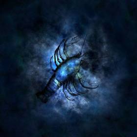 Raci musí dbát během diet na dostatečný přísun tekutin.