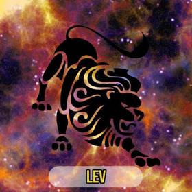 Poloha svíčky je sice náročnou polohou, která se vám, milí Lvi, možná nepodaří hned napoprvé, ale po pravidelném tréninku to bude stát za to.