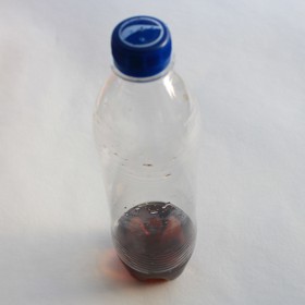 Prvním z tipů, jak se zbavit octomilek, je použít lahev s kolou a do víčka udělat malý otvor. Vůně nápoje by měla hmyz vlákat otvorem dovnitř lahve, ze které pak už nenajde cestu ven.