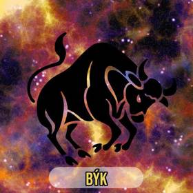 Z boku a hlavně tvrdě. Pravidelné, rychlé tempo a sex natvrdo Býci prostě milují.