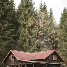 Chata na prodej (2018) je česká filmová komedie režiséra Tomáše Pavlíčka. Pojednává o rodině, která přemýšlí, jestli prodat či neprodat chatu, když na ni nikdo nejezdí.