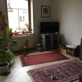 Byt před zásahem odborníka.