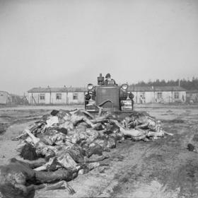 Zvěrstev, které se v koncentračních táborech děly, nikdy nelitovala. Lítost cítila pouze k sobě. Když Hertu Bothe na konci války zatkli v Bergen-Belsenu, přinutili ji odklízet mrtvá těla. Herta si stěžovala, že je to nechutné a dostane infekci, a že "ta těla jsou příliš těžká".