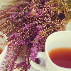 Vřesový odvar

2 lžičky květů nebo zelených nedřevnatých větviček čerstvých nebo sušených necháme povařit v 250 ml vody, poté necháme 15 minut stát, poté jej scedíme a popíjíme vlažný 1-2 šálky denně.