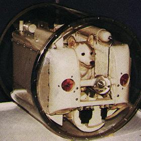 Model hermetické kabiny družice Sputnik 2 se psem Lajkou. V tomto těsném prostoru strávila cestu do vesmíru.