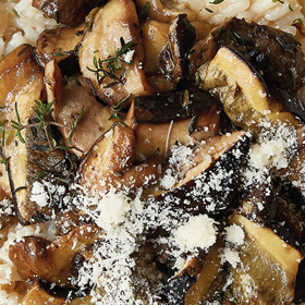 Houbové rizoto
Suroviny:
2 lžíce olivového oleje
200 g mražených hub, nakrájených
na kousky, nebo hrst sušených
hrstka tymiánových lístků
sůl
1 cibule, nakrájená najemno
2 stroužky česneku, nakrájené na plátky
180 g dlouhozrnné rýže, propláchnuté
150 ml bílého vína
600 ml kuřecího vývaru, horkého
2 lžíce nastrouhaného sýra
Postup:
Začněte houbami. V pánvi rozehřejte 1 lžíci oleje, přidejte mražené nebo sušené (ty předtím nechte namáčet v troše vody) houby a opékejte je dozlatova 6–8 minut. Přidejte tymián, sůl a nechte je v teple stranou.
Na zbylém oleji nechte v hlubším kastrolu zesklovatět cibuli a česnek. Přidejte rýži, promíchejte a zvolna opékejte 4–5 minut. Vlijte víno a na silnějším ohni směs míchejte, aby se víno začalo odpařovat.
Pak přilijte naběračku vývaru, promíchejte, nechte vsáknout a postupně po naběračkách přilévejte další. Zhruba po 10 minutách rýži ochutnejte, jestli je měkká. Podle potřeby přilijte další vývar. Jakmile je rýže hotová, rozdělte ji do misek, navrch dejte houby a posypte sýrem.