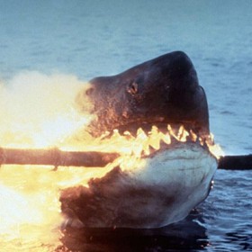 Když se u pláží rekreačního městečka začnou ztrácet lidé a moře vyplaví tělo kosatky s obřími kousanci, je si policejní náčelník jistý, že se opět objevil bílý lidožravý žralok. I přes jeho naléhání však vedení města odmítá uzavřít pláže a vyhlásit pohotovost.