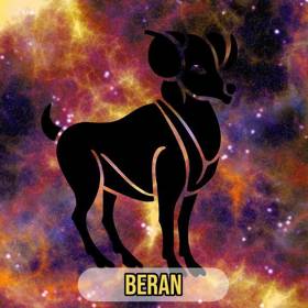 BERAN (21. 3. – 20. 4.): Šťastná sedmička v podobě pátku 7. února vám zajistí, že se seznámíte s mužem, se kterým vás bude spojovat profese či studium.