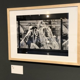 Národní archiv připravil u příležitosti 30. výročí přelomových událostí roku 1989 výstavu nazvanou „Havel na Hrad. Příběh roku 1989“. Ideovým záměrem výstavy je na půdorysu cesty Václava Havla od disentu na Hrad dokumentovat přerod naší společnosti z totalitní na demokratickou. 